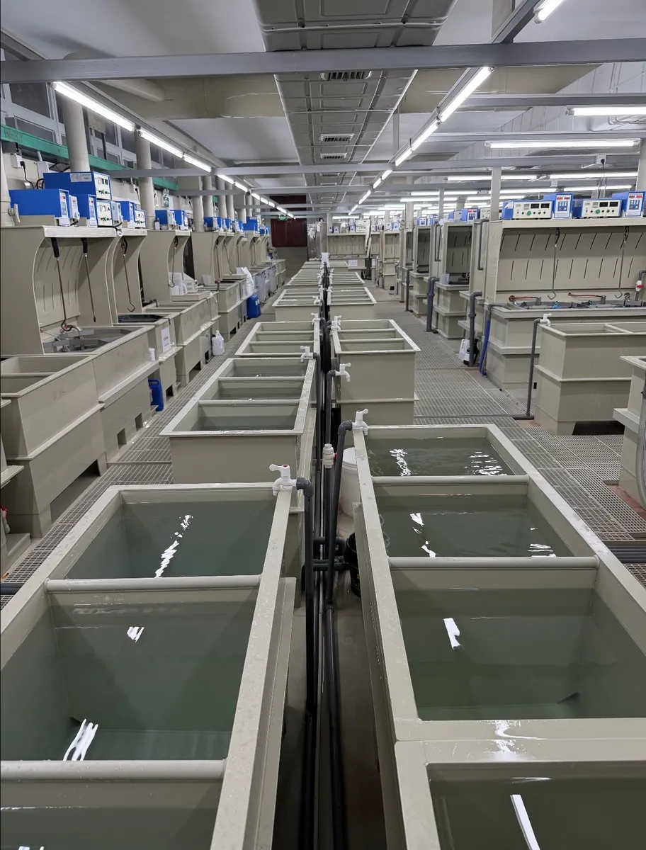 In-house galvanic plating line at JY Jewellery.